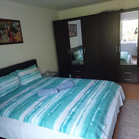 Vila Boba Bor Zlot Quarto foto